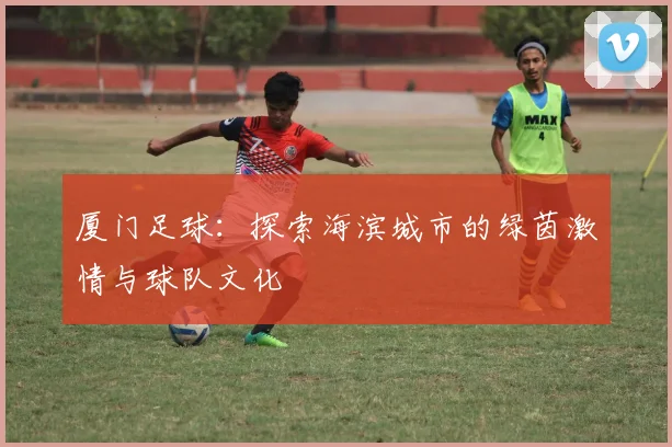 厦门足球：探索海滨城市的绿茵激情与球队文化